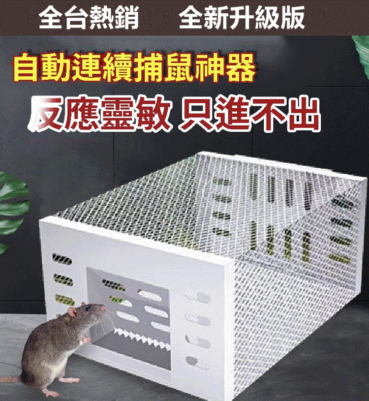自動捕鼠神器