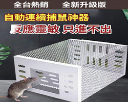 自動捕鼠神器